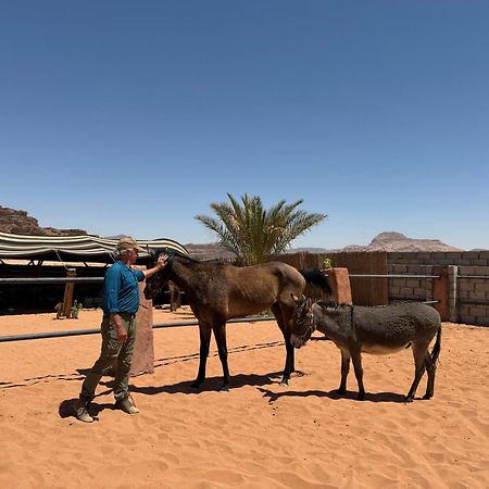 Pink Spirit Wellness Farm Daire Ad Disah Dış mekan fotoğraf